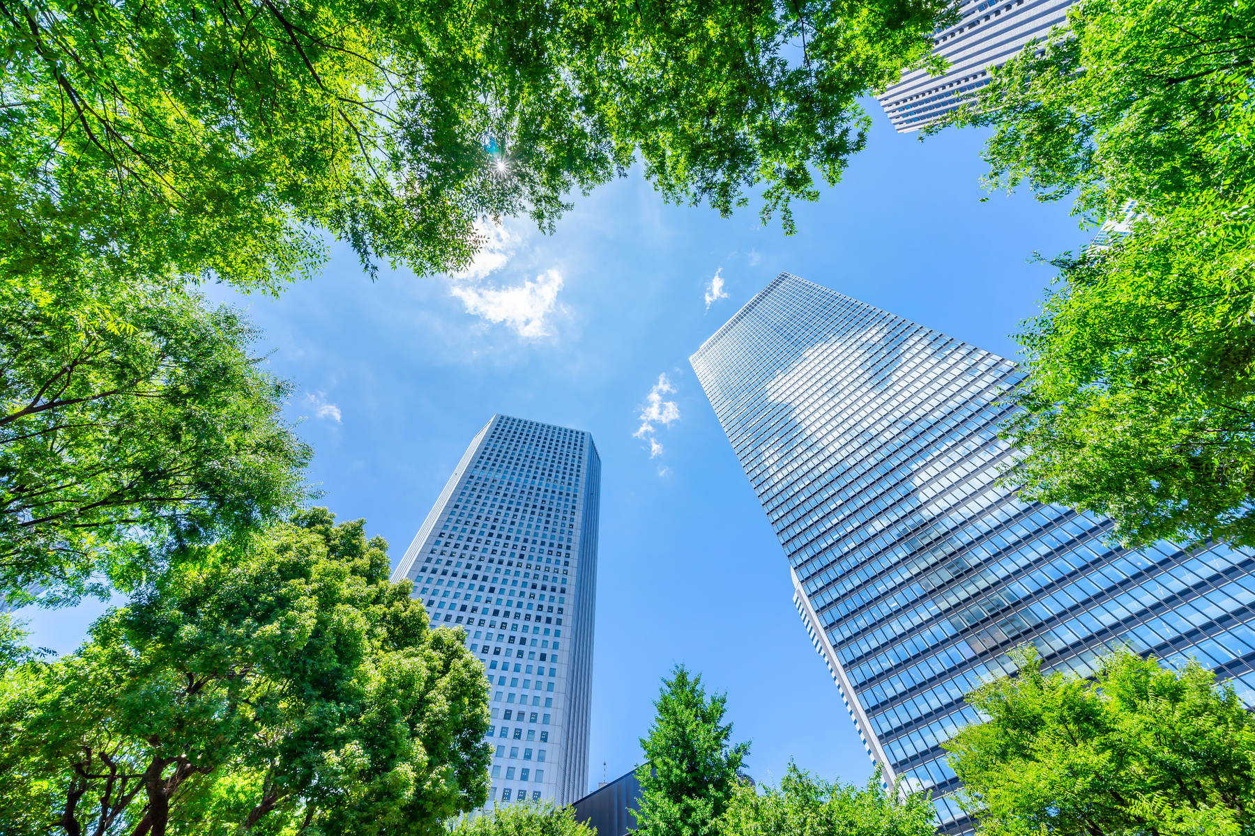 looking up view of panoramic modern city skyline with blue sky and green tree in shinjuku, tokyo, japan